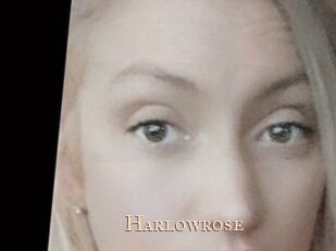 Harlowrose
