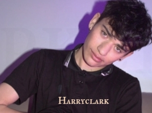 harryclark Pink Center Fold