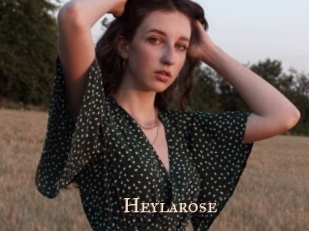 Heylarose