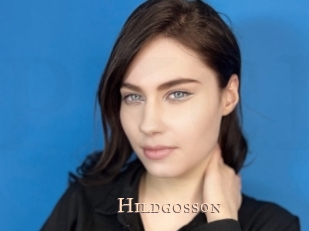 Hildgosson