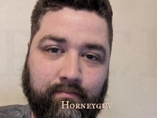 Horneyguy