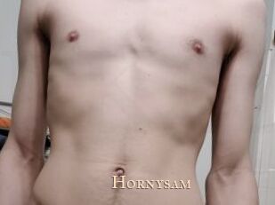 Hornysam