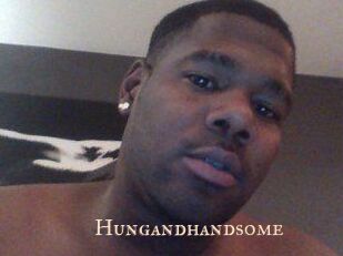 Hungandhandsome