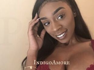 IndigoAmore Pink Center Fold