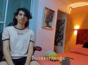 Igorespinoza