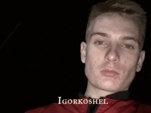 Igorkoshel