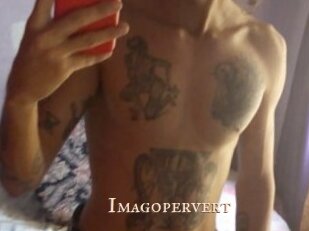 imagopervert Pink Center Fold