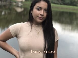 Imcataleya