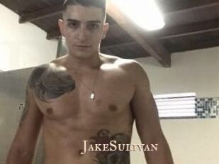 Jake_Sulivan