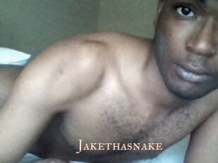 Jake_tha_snake