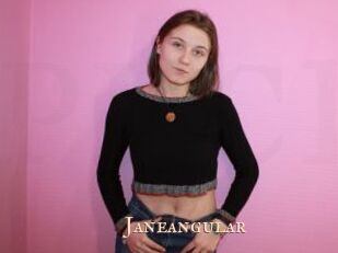 janeangular Pink Center Fold