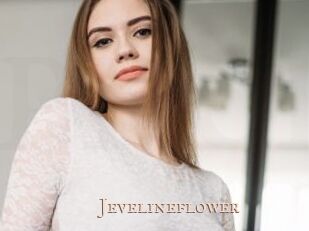 Jevelineflower