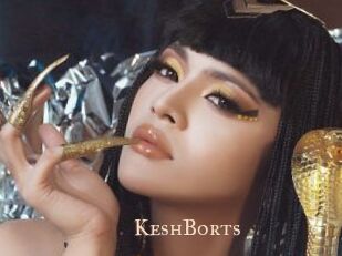 KeshBorts Pink Center Fold