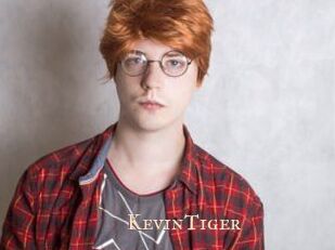 KevinTiger