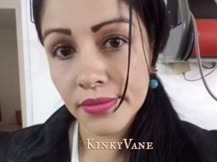 KinkyVane