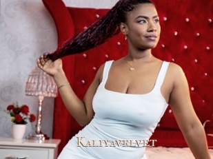 kaliyavelvet Pink Center Fold