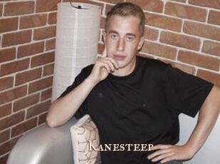 Kanesteep