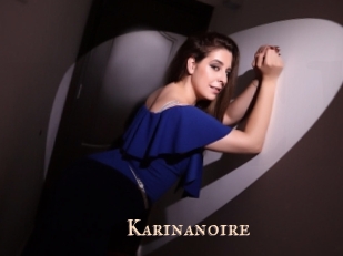 Karinanoire