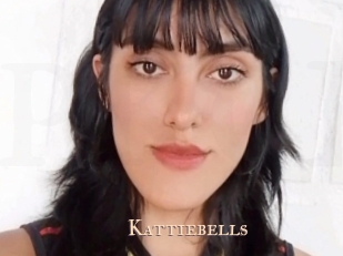 kattiebells Pink Center Fold