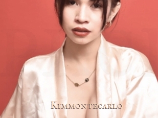 kimmontecarlo Pink Center Fold