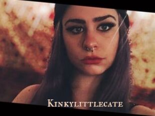 Kinkylittlecate