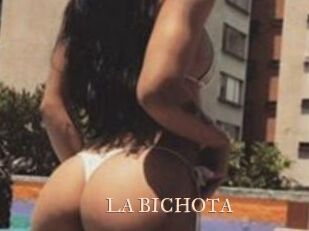 LA_BICHOTA