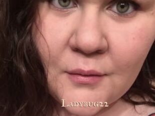 Ladybug22