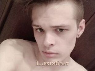 LapkinGray