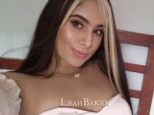 LeahBaker Pink Center Fold
