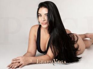 LeahhVega Pink Center Fold