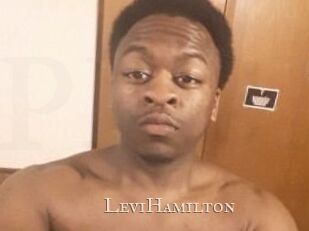 Levi_Hamilton Pink Center Fold