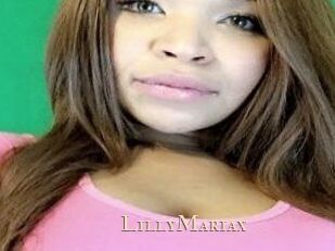 LillyMariax Pink Center Fold