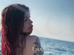 Lily_Jay Pink Center Fold
