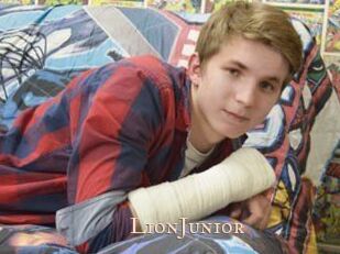 LionJunior Pink Center Fold
