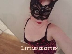 Littleredkitten