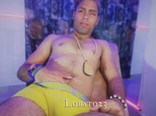 Lobato23