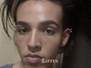 Lotus