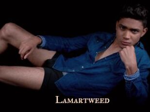 lamartweed Pink Center Fold