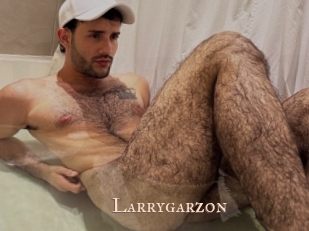 Larrygarzon