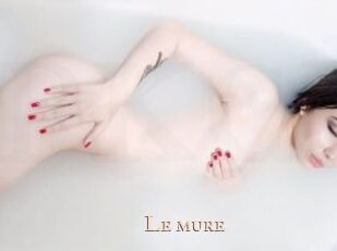 Le_mure