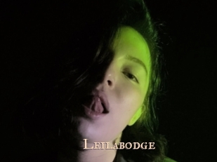 Leilabodge