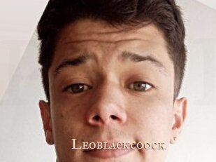 Leoblackcoock