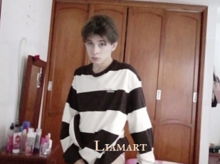 Liamart