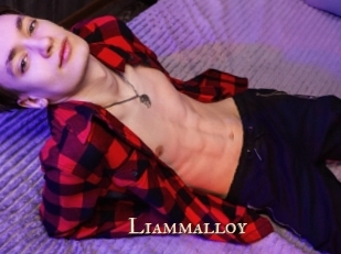 liammalloy Pink Center Fold