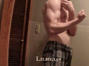 lilbigxan Pink Center Fold