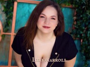 lillycarroll Pink Center Fold