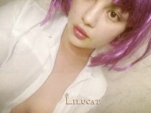Lilucat