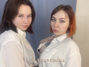 Lisaandmika