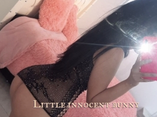 Little_innocent_bunny