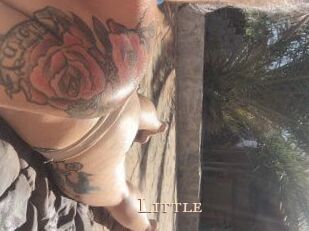 little Pink Center Fold